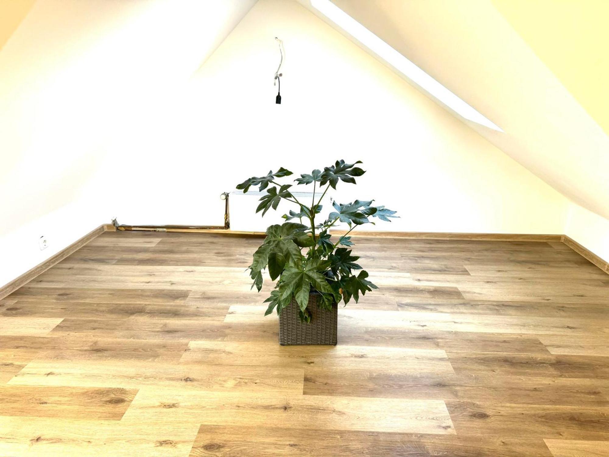 Ferienhaus Dierdorf Extérieur photo